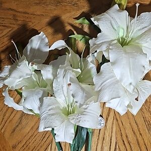 White Lily Florals